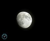 Moon 8T46D-07